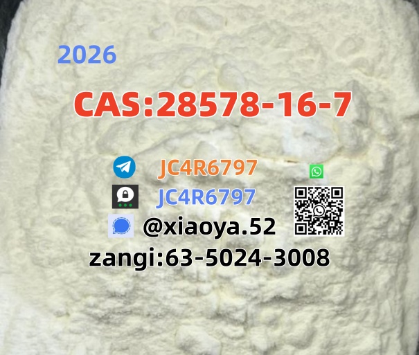 PM.K CAS 28578-16-7 chemical product BM.K 5449-12-7_2